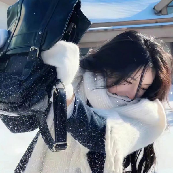 致命的危机 海报